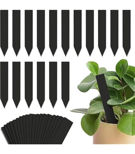 Amazon.co.jp: *獺祭久石譲ラベル 2本セット*弘兼憲史サイン入り